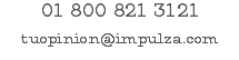 01 800 821 3121 tuopinion@impulza.com 